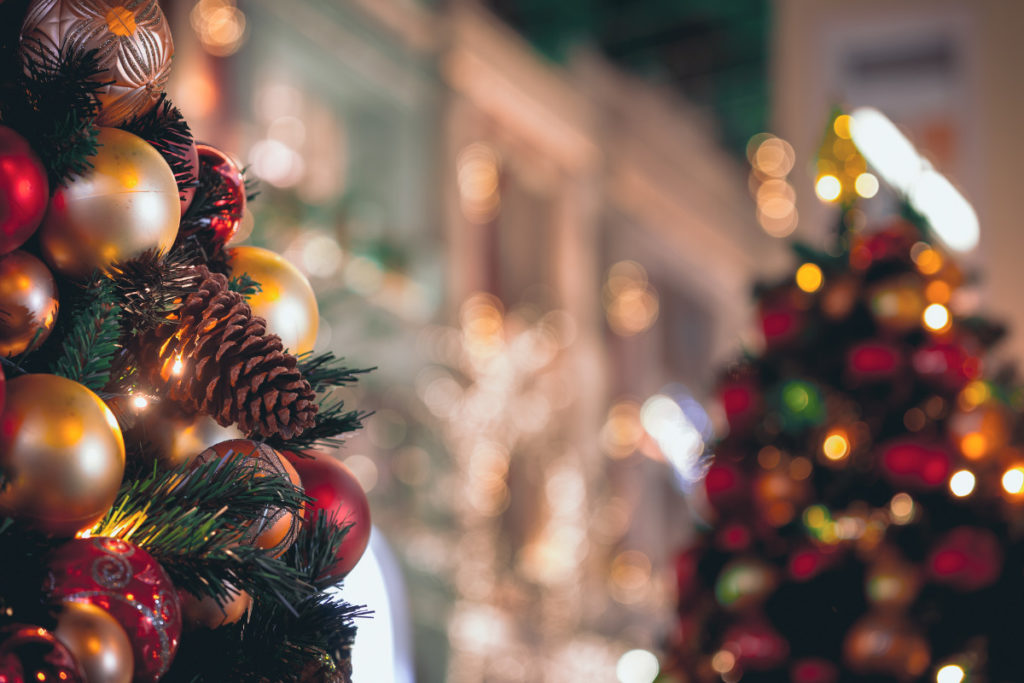 Árvores de Natal enfeitadas.